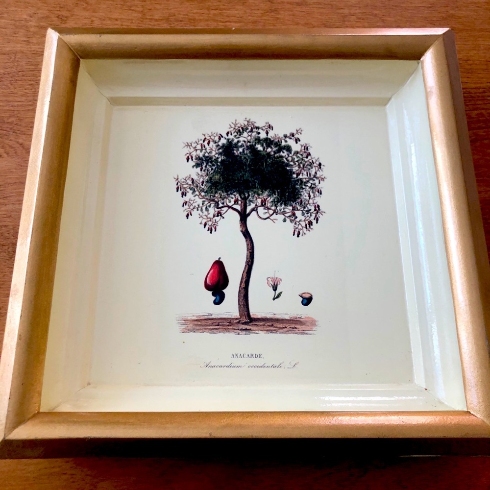 South African tray to serve or display